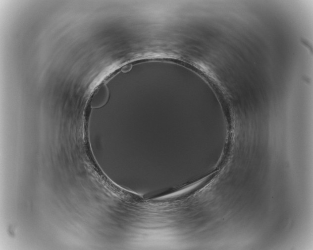 X0000100921173200807011300