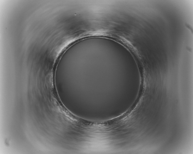 X0000100921174200807011300