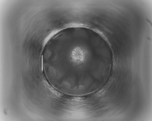 X0000100921175200807011300