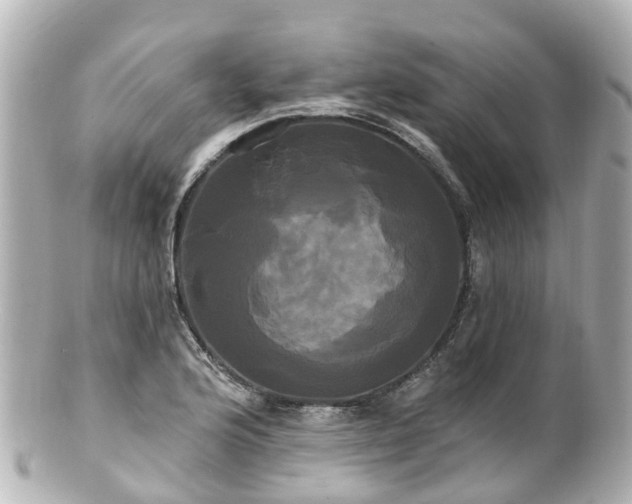 X0000100921176200807011300