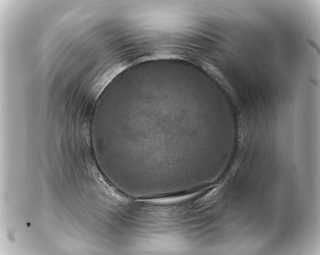 X0000100921177200807011300