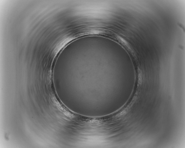 X0000100921178200807011300