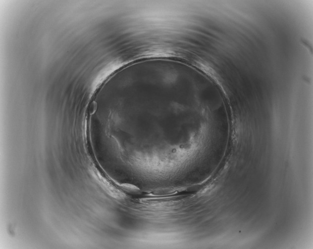 X0000100921179200807011300