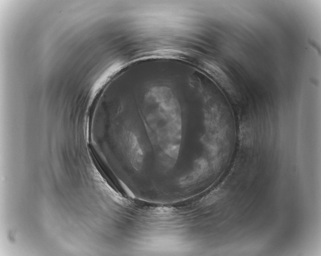 X0000100921180200807011300