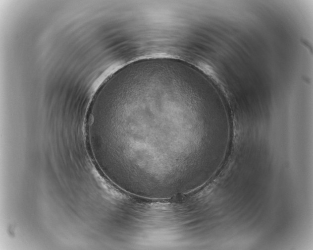 X0000100921181200807011300