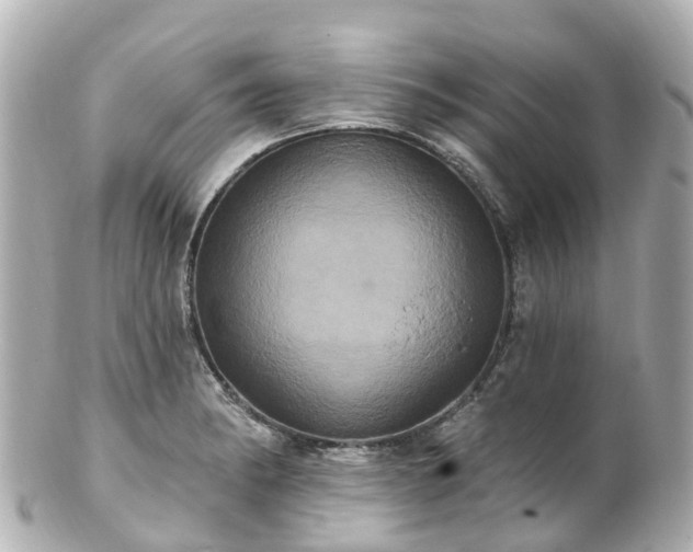 X0000100921182200807011300