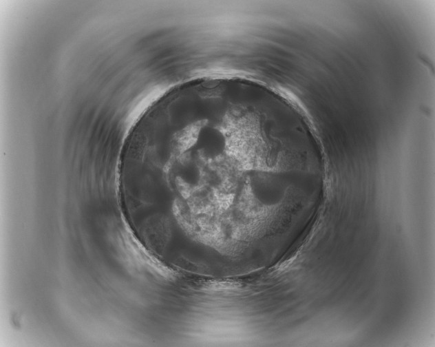 X0000100921183200807011300