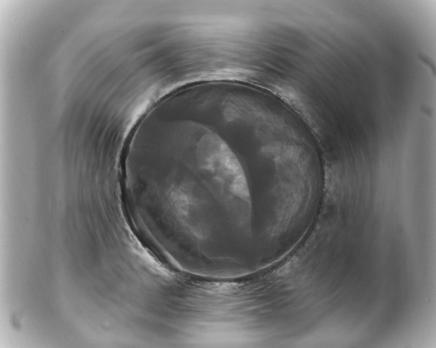 X0000100921184200807011300