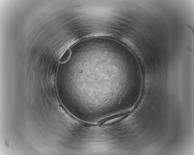 X0000100921185200807011300