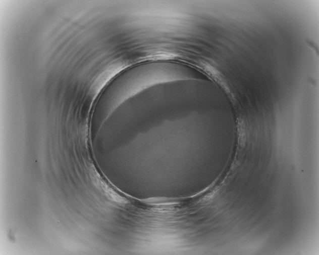 X0000100921186200807011300