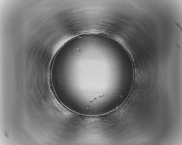 X0000100921187200807011300