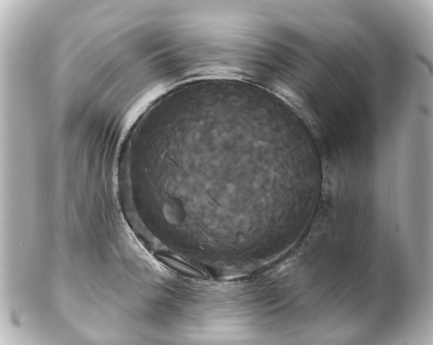 X0000100921188200807011300