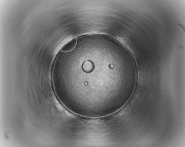 X0000100921189200807011300