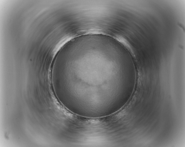 X0000100921190200807011300