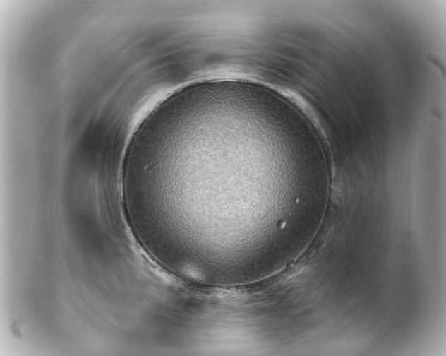 X0000100921191200807011300