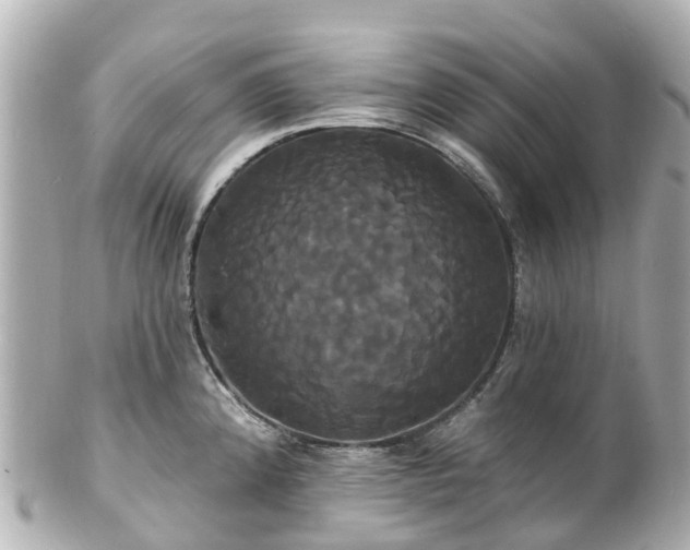 X0000100921192200807011300