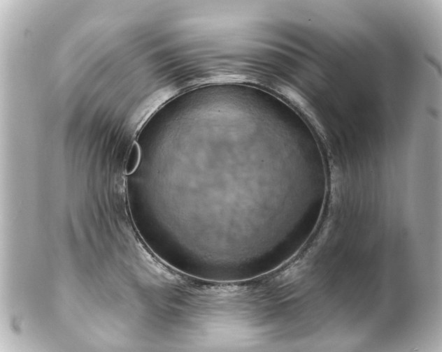 X0000100921193200807011300