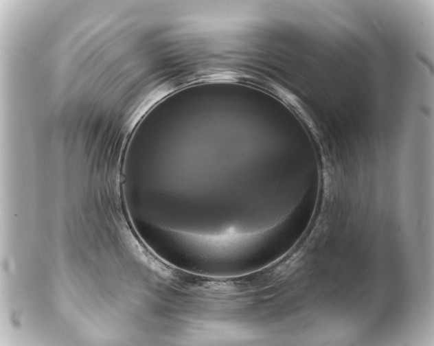 X0000100921194200807011259