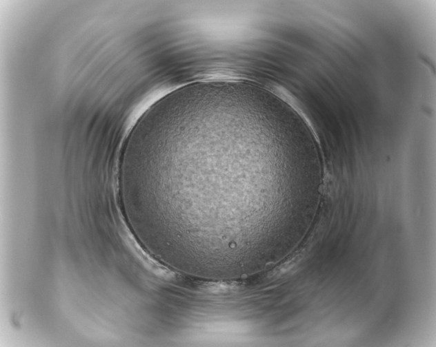 X0000100921195200807011259