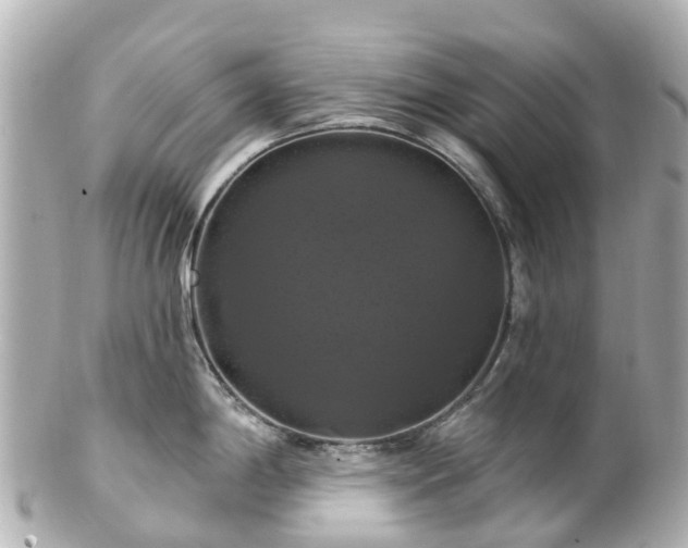 X0000100921198200807011259