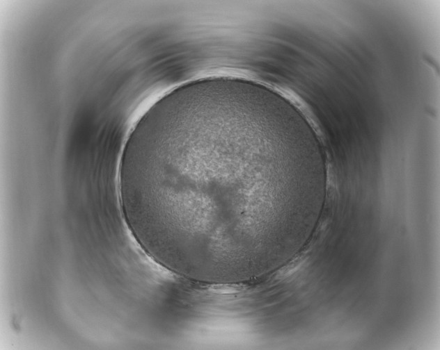 X0000100921199200807011259