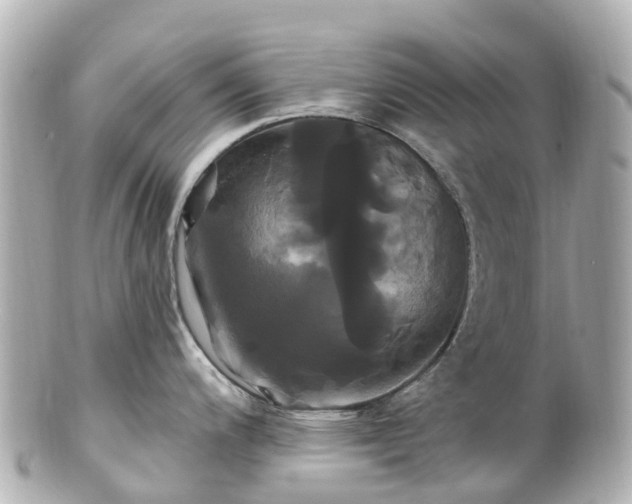 X0000100921200200807011259