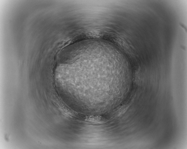 X0000100921201200807011259