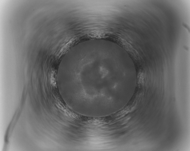 X0000100921202200807011259