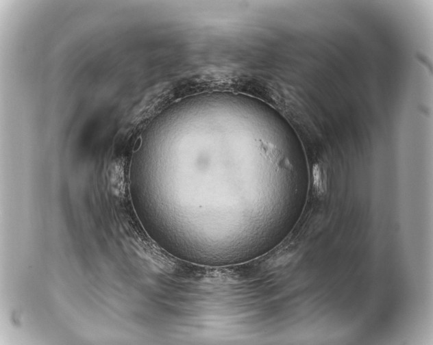 X0000100921203200807011259