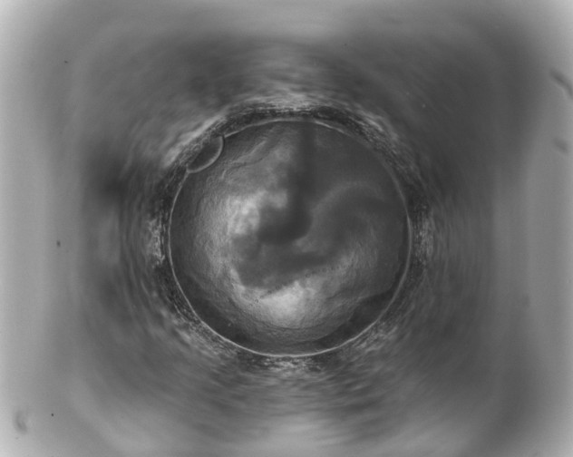 X0000100921205200807011259