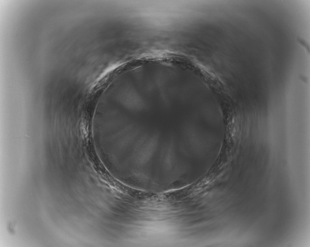 X0000100921206200807011259