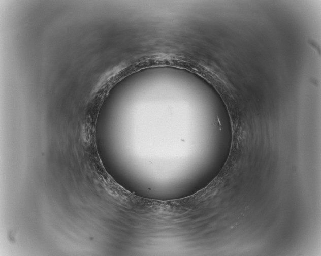 X0000100921207200807011259