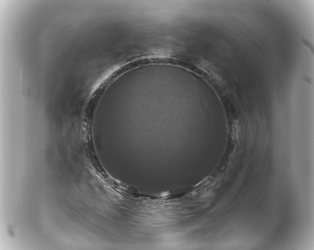 X0000100921208200807011259