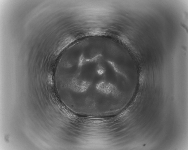 X0000100921209200807011259