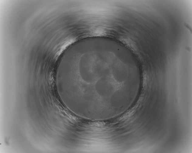 X0000100921210200807011259