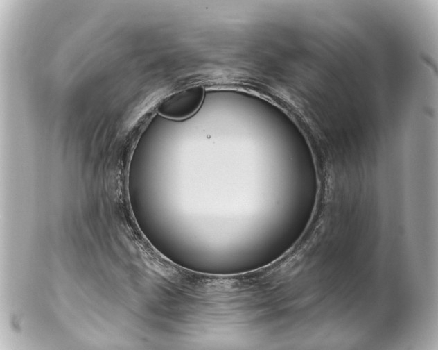 X0000100921211200807011259