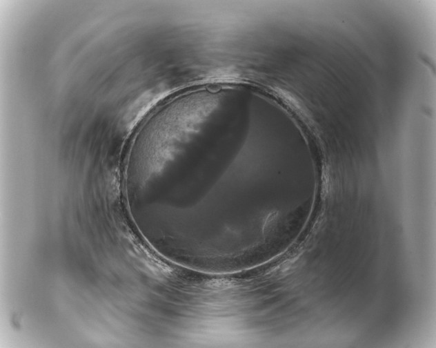 X0000100921212200807011259