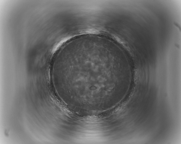 X0000100921214200807011259