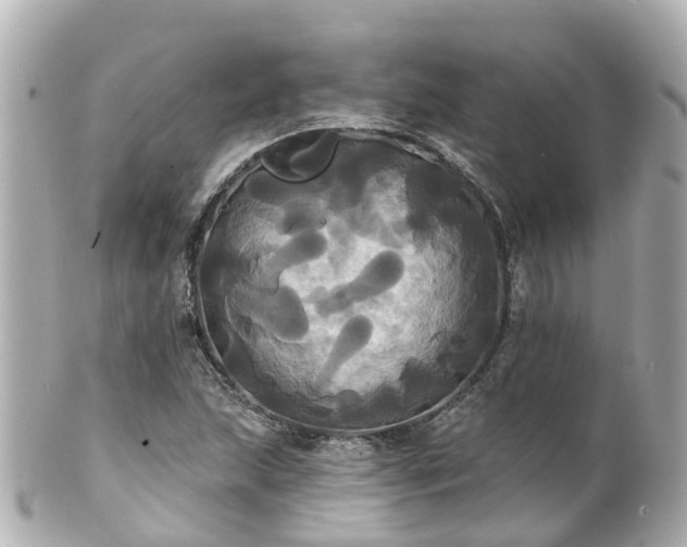 X0000100921215200807011259