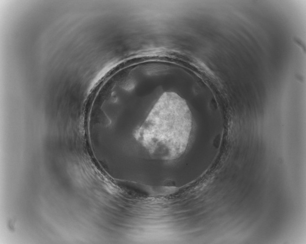 X0000100921216200807011259