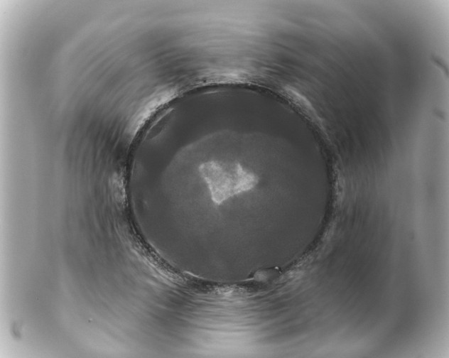 X0000100921218200807011259