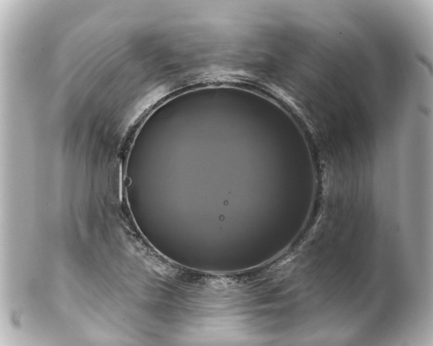 X0000100921219200807011259