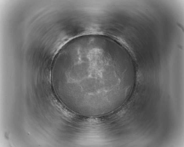 X0000100921220200807011259