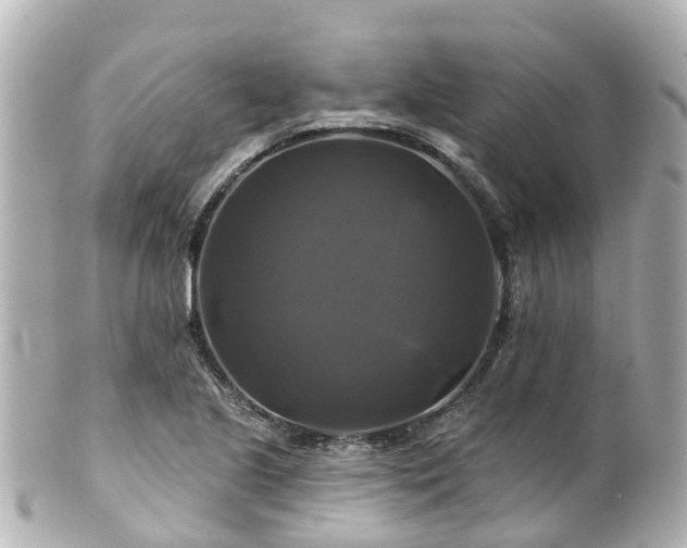 X0000100921221200807011259