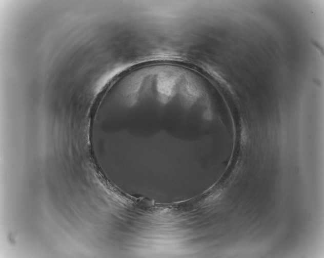 X0000100921222200807011259