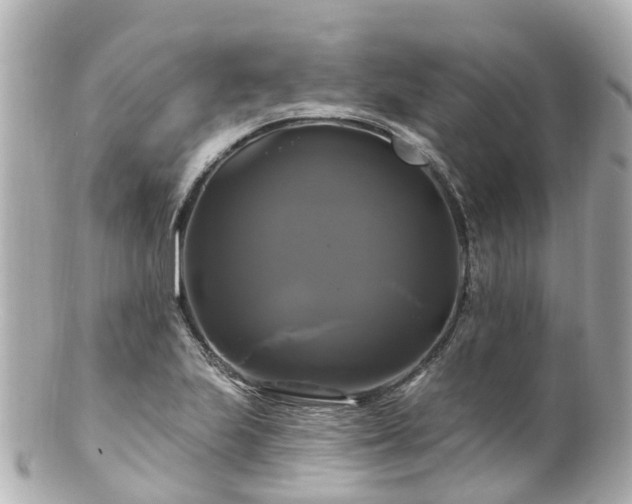 X0000100921223200807011259