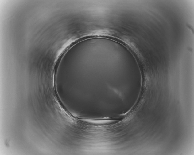 X0000100921224200807011259