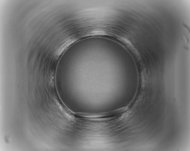 X0000100921225200807011259