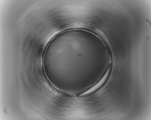 X0000100921226200807011259