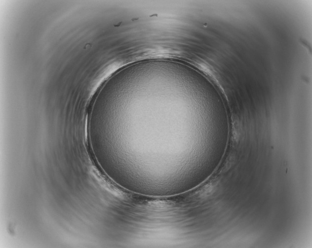 X0000100921227200807011259